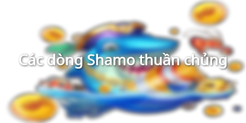 Các dòng Shamo đẹp nhất
