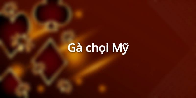 Gà chọi đẹp Mỹ