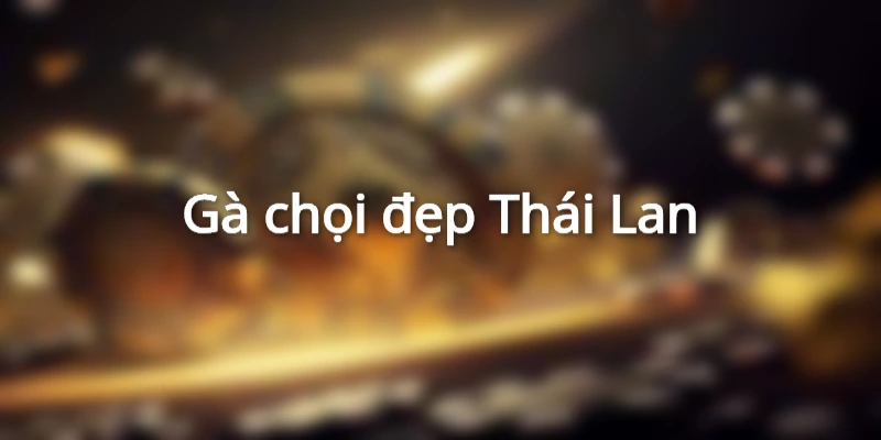 Gà chọi Thái Lan