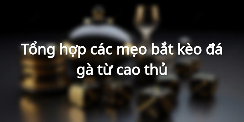 Bí kíp cược đá gà chuẩn