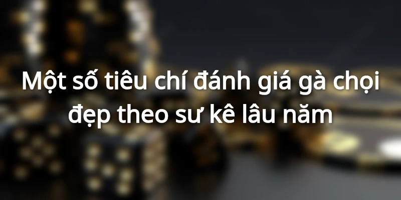 Tiêu chí đánh giá gà chọi đẹp theo sư kê lâu năm